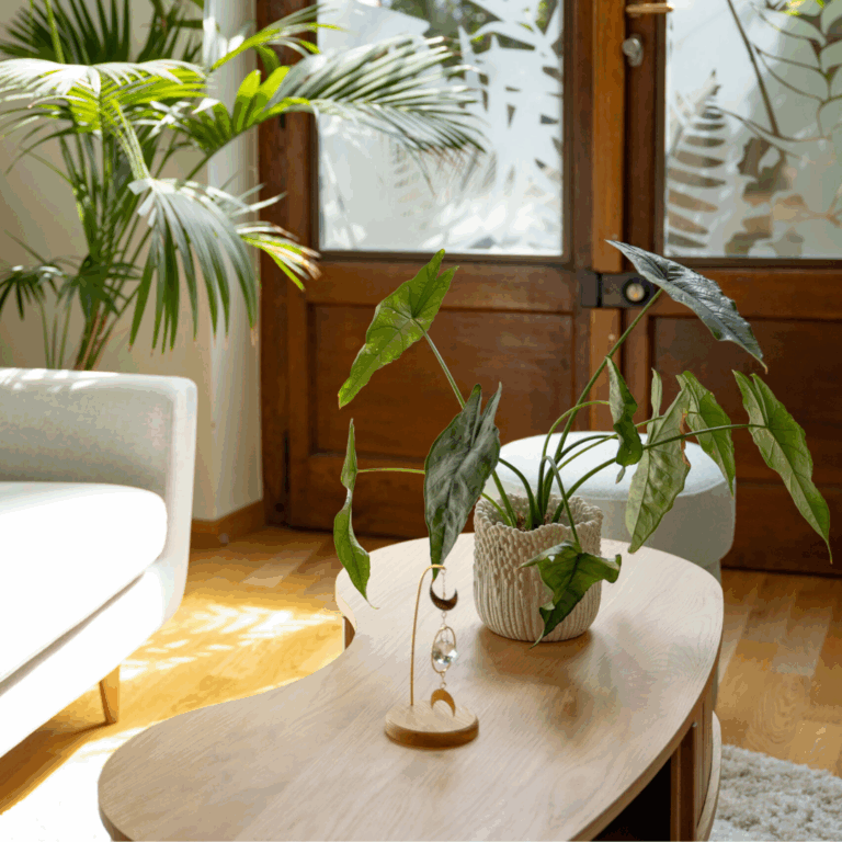 Design sans titre